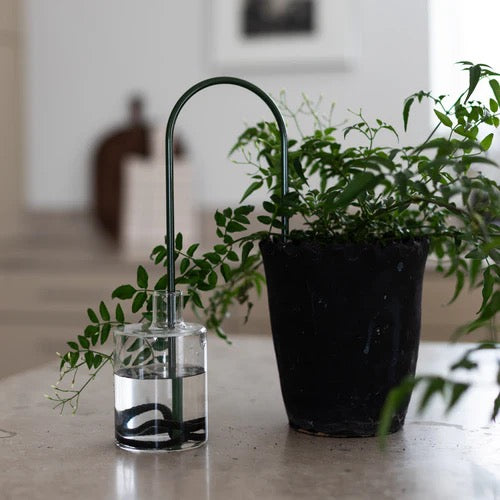 Växtvattnare - Plant Straws Medium