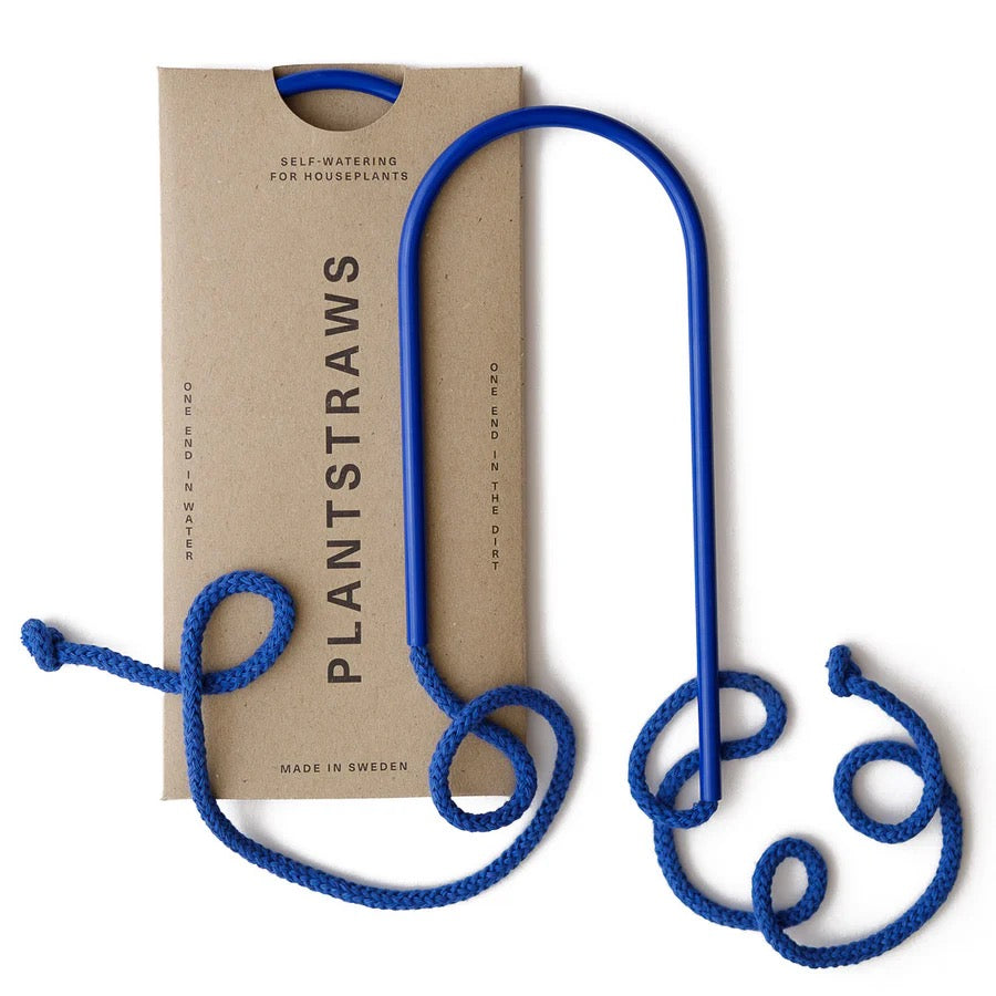 Växtvattnare - Plant Straws Liten