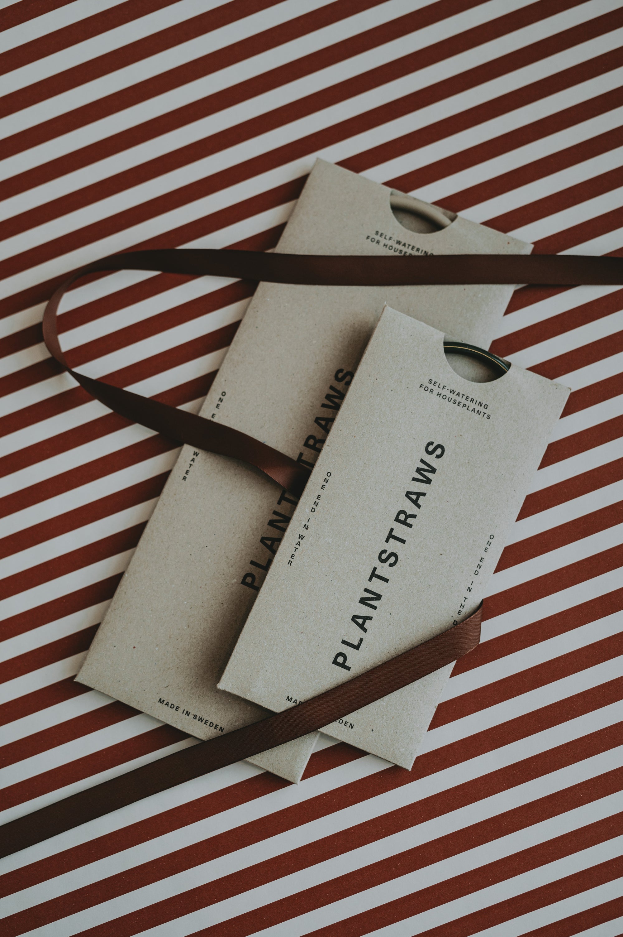 Växtvattnare - Plant Straws Medium