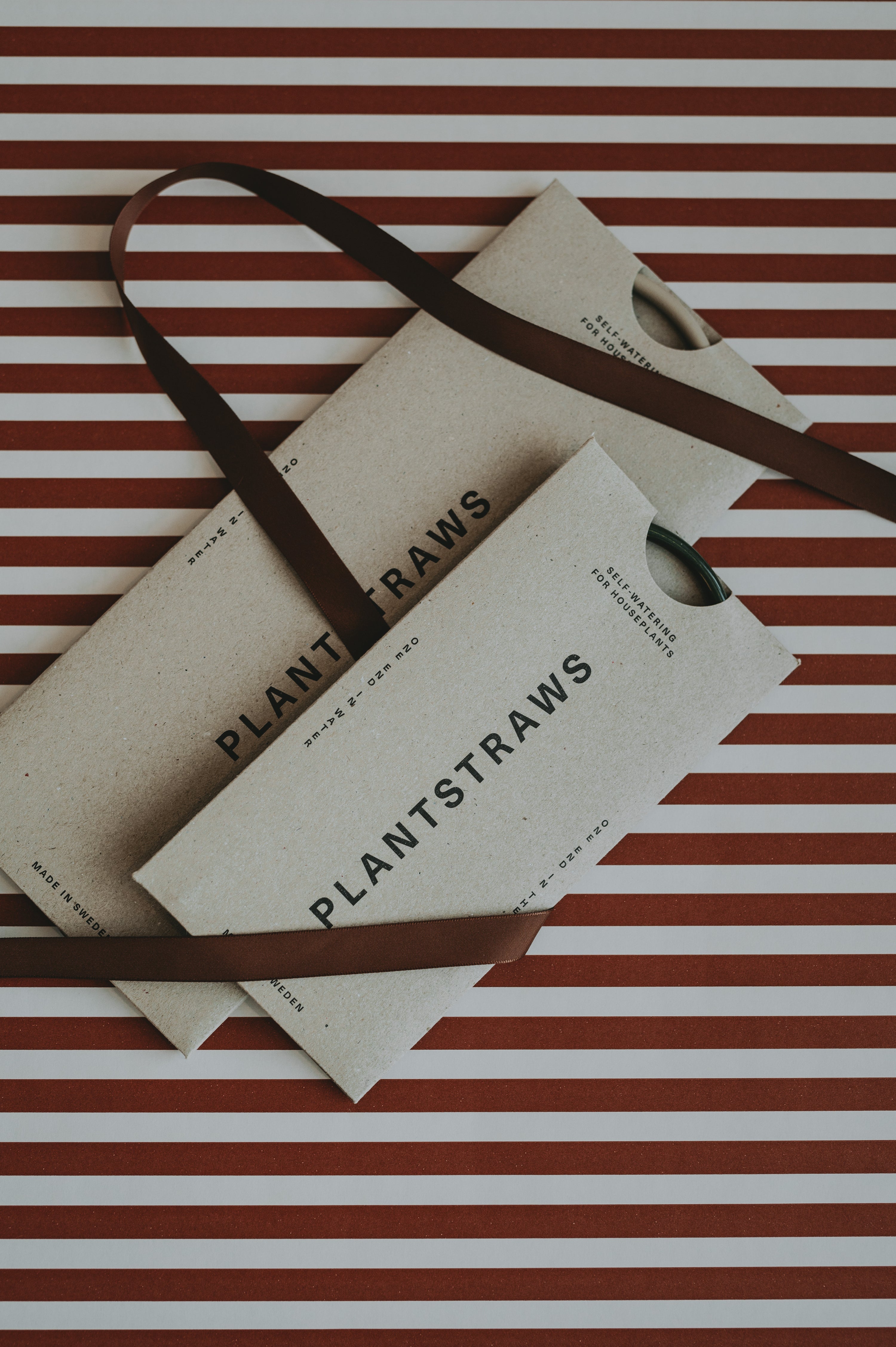 Växtvattnare - Plant Straws Liten