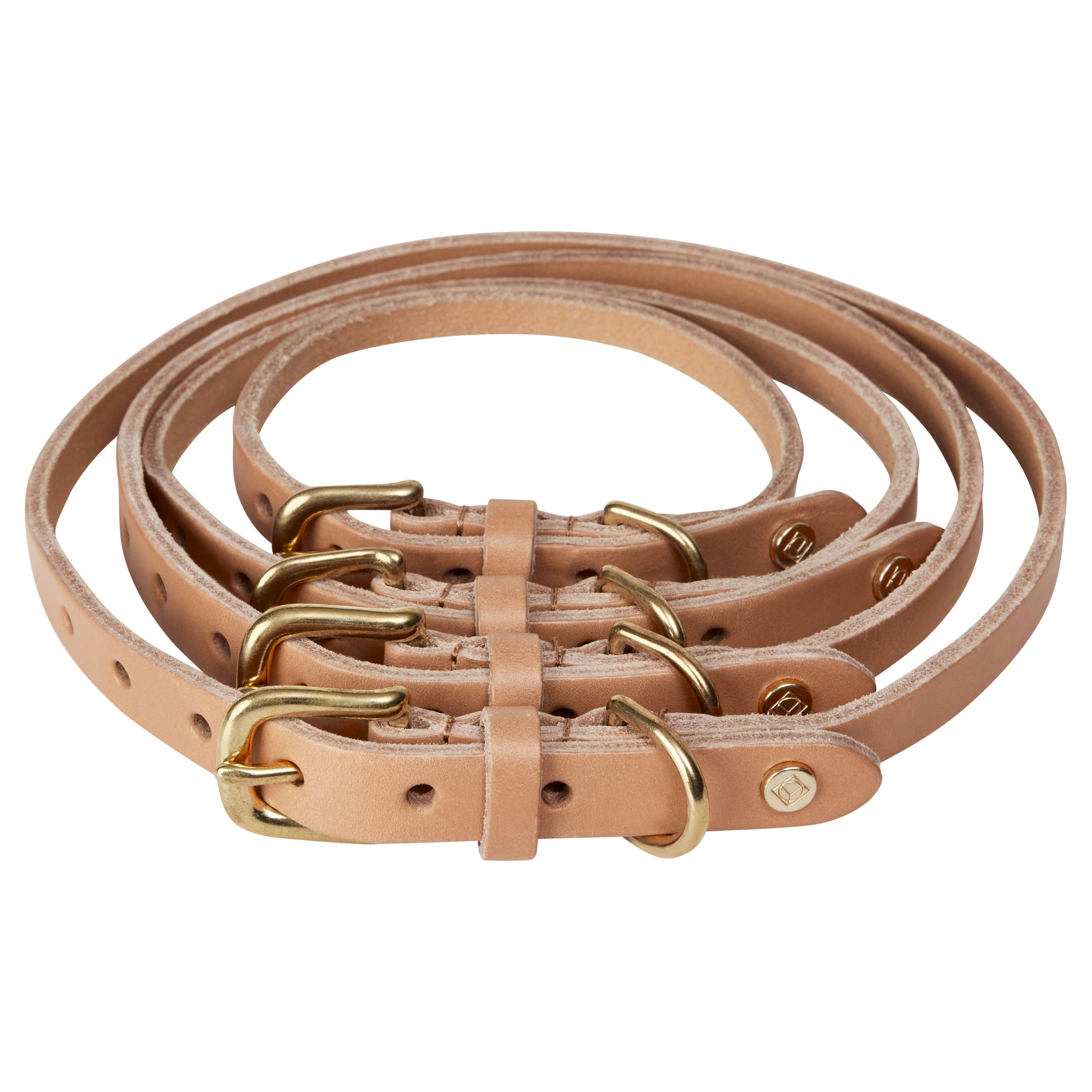 Hundhalsband - Robin