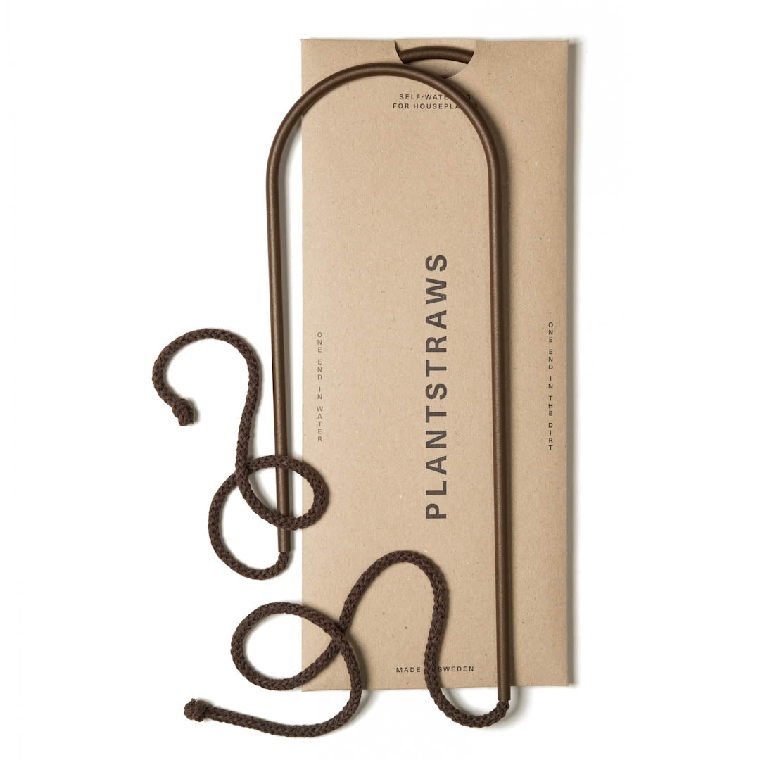 Växtvattnare - Plant Straws Medium