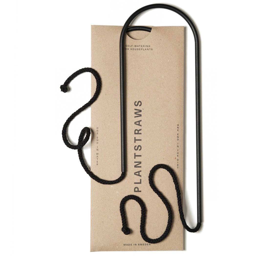 Växtvattnare - Plant Straws Medium