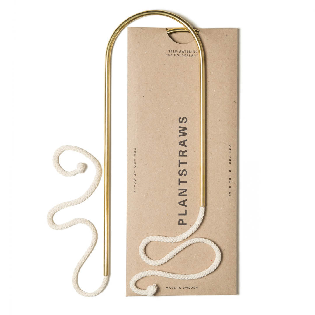 Växtvattnare - Plant Straws Medium