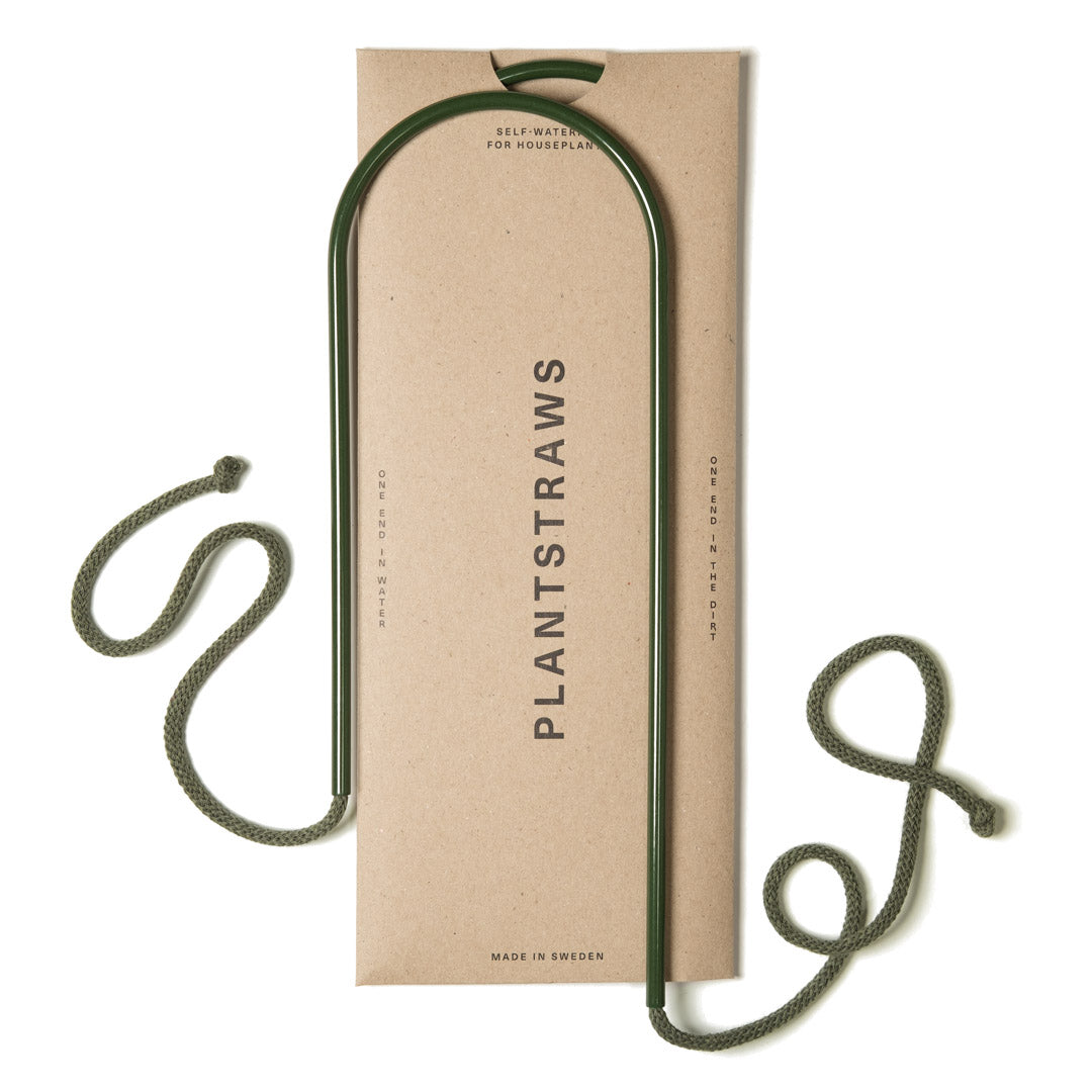 Växtvattnare - Plant Straws Medium