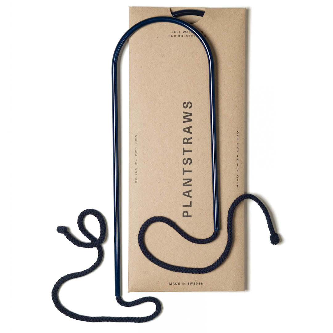 Växtvattnare - Plant Straws Medium