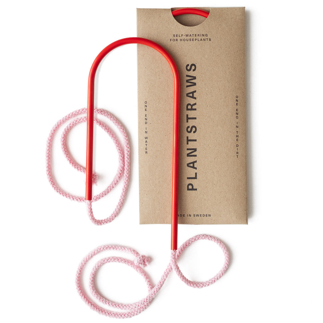 Växtvattnare - Plant Straws Liten