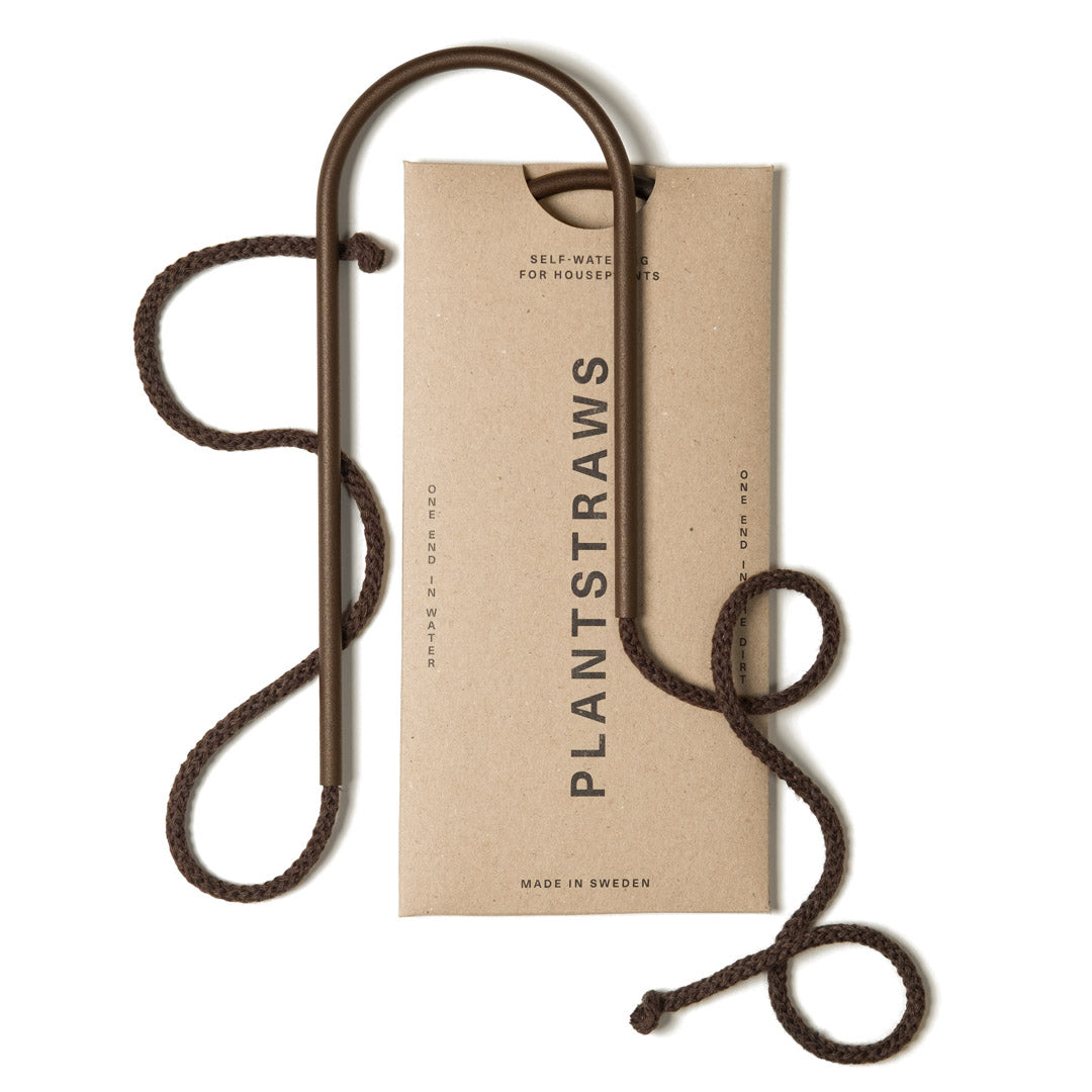 Växtvattnare - Plant Straws Liten