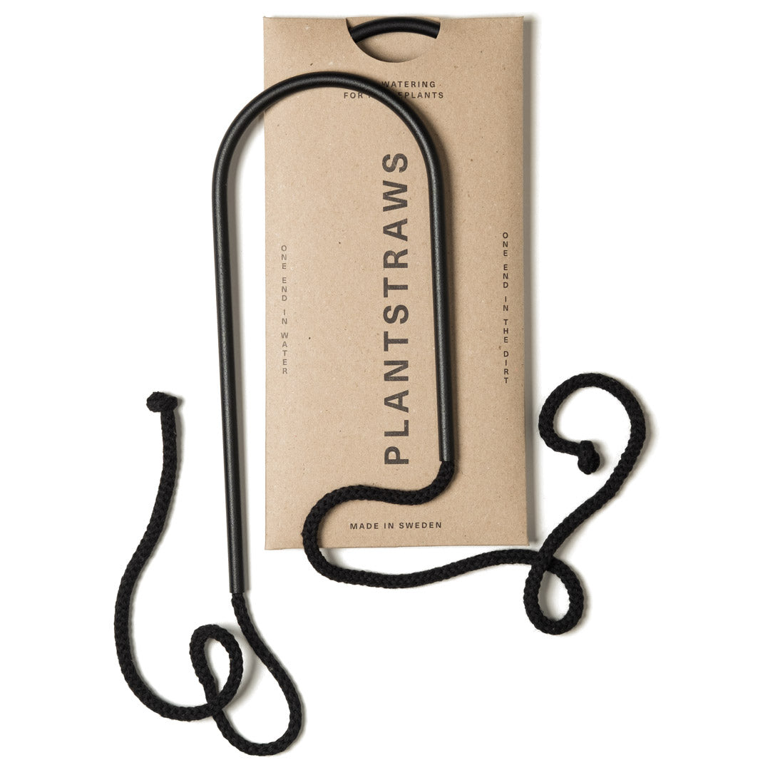 Växtvattnare - Plant Straws Liten