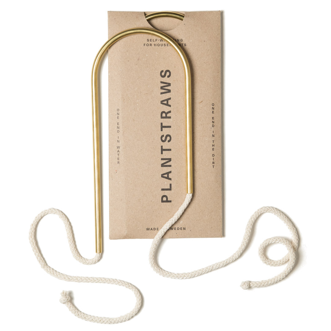 Växtvattnare - Plant Straws Liten