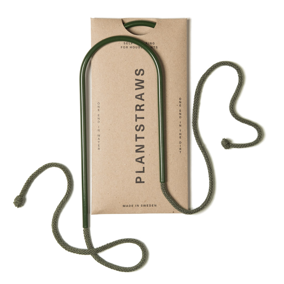 Växtvattnare - Plant Straws Liten