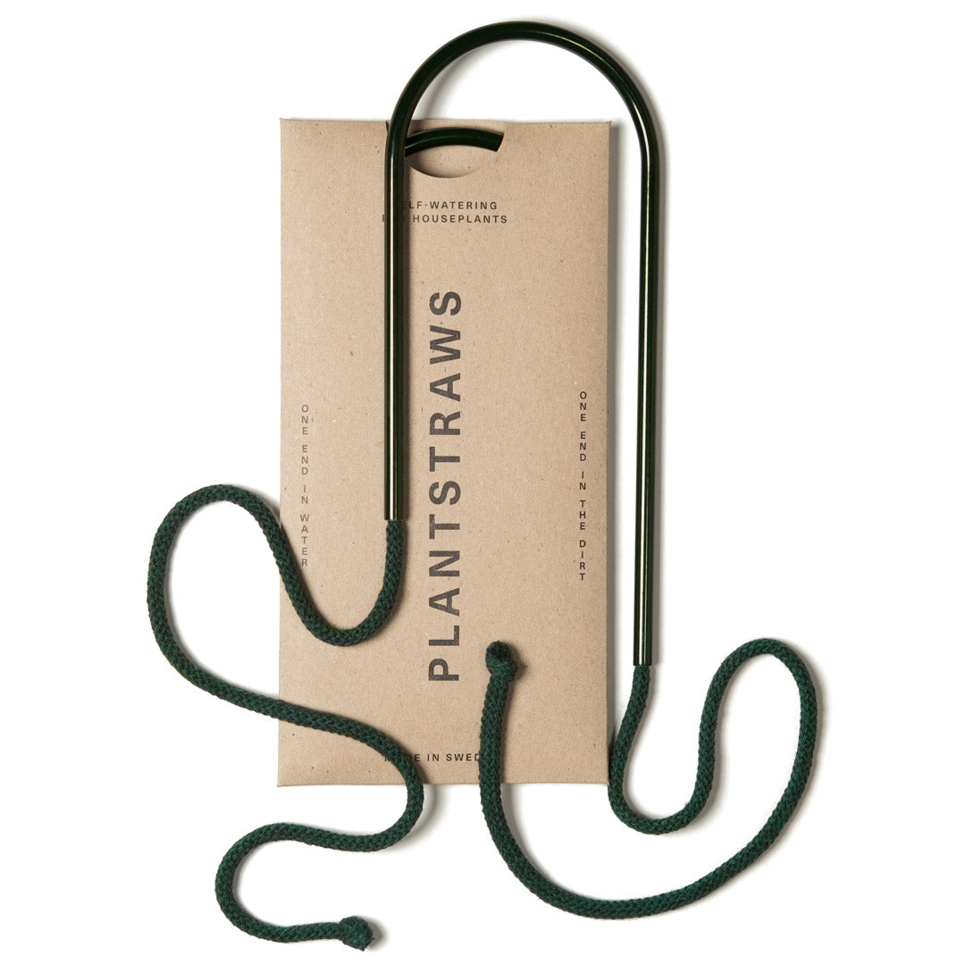 Växtvattnare - Plant Straws Liten
